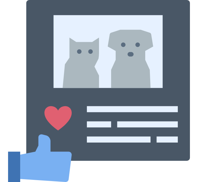 Akademia E-biznesu Social Media Plus